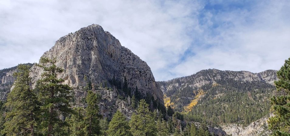 Mount Charleston in Spring Mountains National Recreation Area near Las Vegas, Nevada.