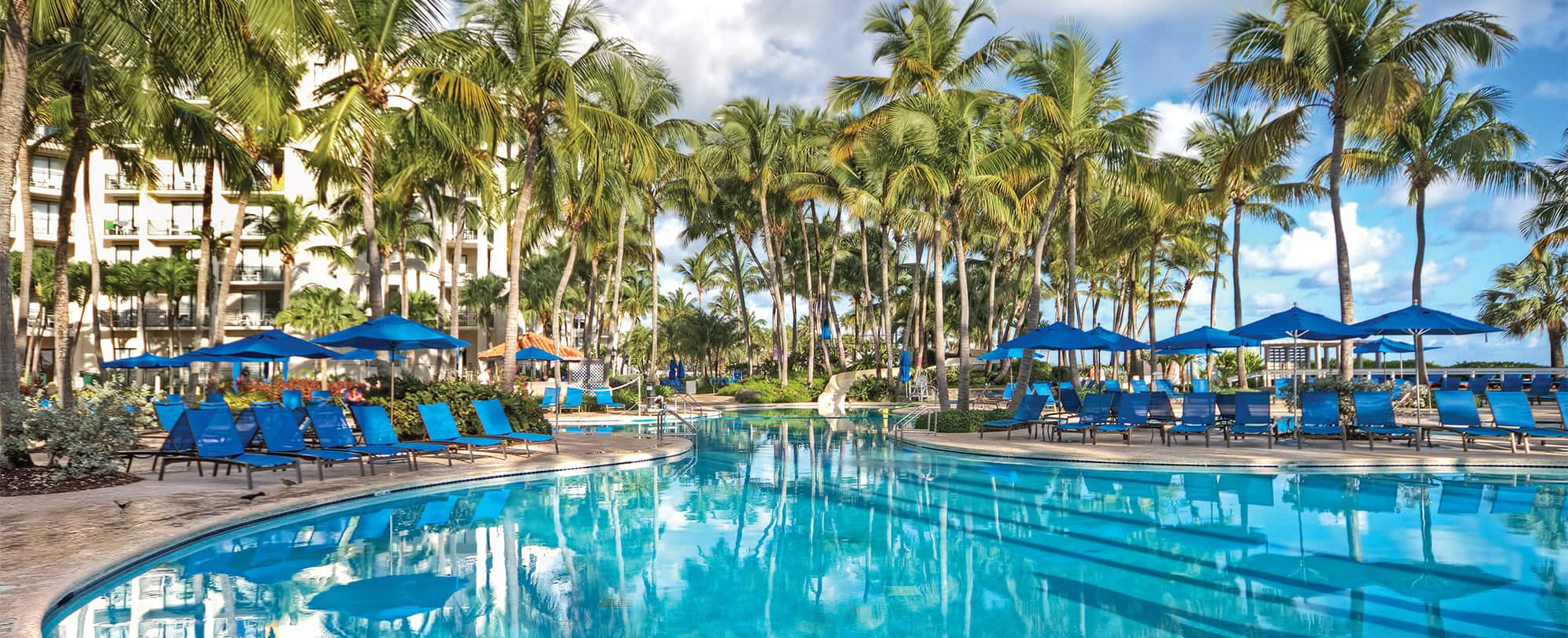 Palm trees, and blue chairs and umbrellas surrounding the pool at Margaritaville Vacation Club by Wyndham - Rio Mar.